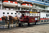 Alaska - Ketchikan: a cart awaits the passengers of the Diamond Princess - Seahorse ventures - horse drawn tours (photo by Robert Ziff)