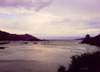 Albania / Shqiperia - Lake Scutari / Ligeni i Shkodrs / Skadarsko Jezero, Shkodr county: looking west - photo by M.Torres