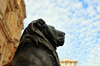 Oran, Algeria / Algrie: lion at the City Hall, lion at the City Hall, 'Wahran' means 'two lions' in Arabic - Place du 1er Novembre - photo by M.Torres | lion a la Mairie d'Oran - Hotel de Ville - Place du 1er Novembre 1954 - Place d'armes