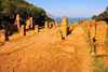 Tipasa, Algeria / Algrie: the Cardo, with the Mediterranean sea at its northern end - Tipasa Roman ruins, Unesco World Heritage site | le Cardo, avec la mer Mditerrane,  son extrmit nord - ruines romaines de Tipasa, Patrimoine mondial de l'UNESCO - photo by M.Torres