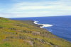 French Austral and Antartic Territories - Amsterdam island: coastal view - photo by F.Lynch