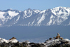 Argentina - Beagle Canal / Canal del Beagle - Tierra del Fuego: seals and mountains (photo by N.Cabana)