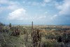 Aruba - Bonavista: from the water tank (photo by M.Torres)