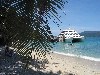 Australia - Australia - Fitroy island (Queensland): in the Great Barrier Reef - photo by Angel Hernandez