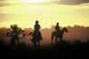 Cattle Station (NT): stockmen at sunset (photo by  Picture Tasmania/Steve Lovegrove)