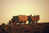 Australia - South Australia: Farm Scene - photo by Picture Tasmania/Steve Lovegrove