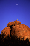 Devil's Marbles Conservation Reserve, NT, Australia: boulders and bird - photo by Y.Xu