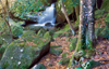 Blue Mountains, New South Wales, Australia: waterfall, near Katoomba - photo by G.Scheer