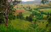 Gippsland , Victoria, Australia: landscape - photo by G.Scheer