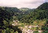 Azores / Aores - Lomba da Pedreira: o vale /  the valley - photo by M.Durruti