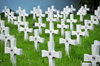 Dakha / Dacca, Bangladesh: Holy Rosary Catholic Church / Tejgaon Church - field of crosses - Catholic cemetery - photo by M.Torres