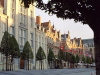 Leuven / Louvain (Flanders / Vlaanderen - Brabant province): Oude Markt (photo by Michel Bergsma)