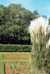 Bermuda - Paget: lush growth - Botanical gardens - South Shore Rd. - Tourist Attractions - John Lennon visited the gardens in 1980 and named his subsequent album Double Fantasy after a flower he saw here - photo by Galen R. Frysinger