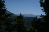 Bhutan - Pine trees and mountain landscape, on the road to the Haa valley - photo by A.Ferrari