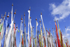 Bhutan, Cheli La pass, Prayer flags - photo by J.Pemberton