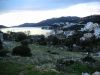 Bosnia / Bosnia / Bosnien - Neum: all of Bosnia's coast - Herzegovina Neretva canton (photo by A.Kilroy)