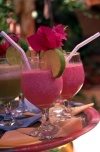 Brazil / Brasil - Porto de Galinhas, Pernambuco: exotic cocktails with bougainvillea leaves - tropical drinks / cocktails com folhas de buganvilea - photo by F.Rigaud