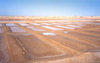 Cape Verde / Cabo Verde - Sal island: salt pans - salinas - photo by M.Torres