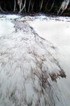 15 Christmas Island: Dolly Beach stream erosion (photo by B.Cain)