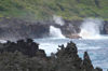 31 Christmas Island: Limestone coastline at the Blowholes (photo by B.Cain)