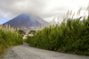 Costa Rica - Arenal Volcano and road - Cerro de los Guatusos, Cano Negro National park - photo by B.Cain