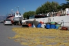 Crete - Ierapetra (Lassithi prefecture): nets and fishing gear (photo by Alex Dnieprowsky)