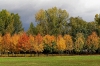 Czech Republic - Pardubice: city park II - photo by J.Kaman