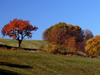 Czech Republic - Ceske stredohori mountains: Autumn foliage - fields - Usti nad Labem Region - photo by J.Kaman