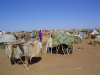 Nyala in South Darfur - Internally Displaced Persons camp, resulting from the Darfur conflict - IDPs use sticks and scraps of plastic to construct makeshift shelters at Intifada transit camp - refugee camp - photo by USAID