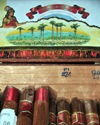 El Catey, Saman province, Dominican republic: Arturo Fuente OpusX Cigars - Chateau de la Fuente - Saman El Catey International Airport - photo by M.Torres