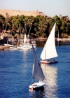 Egypt - Aswan: feluccas sailing on the Nile (photo by J.Kaman)