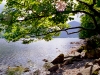 England (UK) - Buttermere - Lake District (Cumbria): Buttermere lake (photo by T.Marshall)