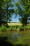 Romsey, Hampshire, South East England, UK: River Test - photo by T.Marshall