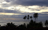 French Polynesia - Moorea / MOZ (Society islands, iles du vent): palms at dusk - Pacific ocean - photo by R.Ziff