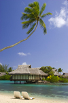 Papetoai, Moorea, French Polynesia: InterContinental Hotel - beach chairs and overwater bungalows - tropical resort - photo by D.Smith