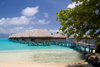 Papetoai, Moorea, French Polynesia: InterContinental Hotel - lagon and overwater bungalows - tropical resort view - photo by D.Smith