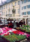 Germany / Deutschland / Allemagne -  Freiburg / QFB (Baden-Wurttemberg): at the market (photo by Miguel Torres)