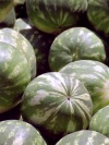 Greece - Thessaloniki  (Makedonia / Macedonia) : watermelons - photo by M.Bergsma