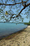 Rubane Island, Bijags Archipelago - UNESCO biosphere reserve, Bubaque sector, Bolama region, Guinea Bissau / Guin Bissau: deserted beach - tree branches and their shadow / praia deserta - photo by R.V.Lopes