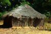 Rubane Island, Bijags Archipelago - UNESCO biosphere reserve, Bubaque sector, Bolama region, Guinea Bissau / Guin Bissau: abandoned native village, wooden house with thatched roof / aldeia abandonada, casa de madeira e palha - photo by R.V.Lopes