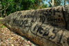 Rubane Island, Bijags Archipelago - UNESCO biosphere reserve, Bubaque sector, Bolama region, Guinea Bissau / Guin Bissau: beach, tree trunk with football players names, Messi, Ronaldo, Figo / praia, rvore com nomes de jogadores de futebol - photo by R.V.Lopes