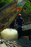 Praia de Varela / Varela beach, Cacheu region, Guinea Bissau / Guin Bissau: young fisherman repairing nets, Traditional fishing  boats / jovem pescador a reparar redes de pesca, barcos de pesca tradicionais - photo by R.V.Lopes