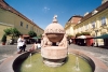 Hungary / Ungarn / Magyarorszg - Szkesfehrvr: fountain and National Orb - Vroshz square / Orszgalma - Vroshz tr (photo by Miguel Torres)