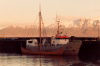 Reykjavik: Viking drakkar and trawler Drofn - Akranes harbour (photo by M.Torres)