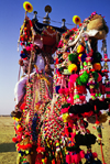 India - Jaisalmer, Rajasthan: decoration on a camel for the camel festival - photo by E.Petitalot