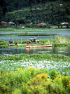 Indonesia - Bali: rural fishing camp - photo by Mona Sturges