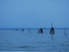 Italy / Italia - Trasimeno lake: fishing nets waiting (photo by Emanuele Luca)