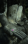 Laos - Vientiane: Xieng Khouan / Xieng Khuan Buddha Park - petal in Buddha's hand - religion - Buddhism (photo by Walter G Allgwer)