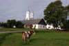 Latvia / Latvija - Aglona Basilica: cow backstage (photo by Alex Dnieprowsky)