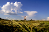 Lithuania - Kernave: walking on dry hay - irvintu rajono savivaldybe, Vilniaus apskrityje - photo by Sandia